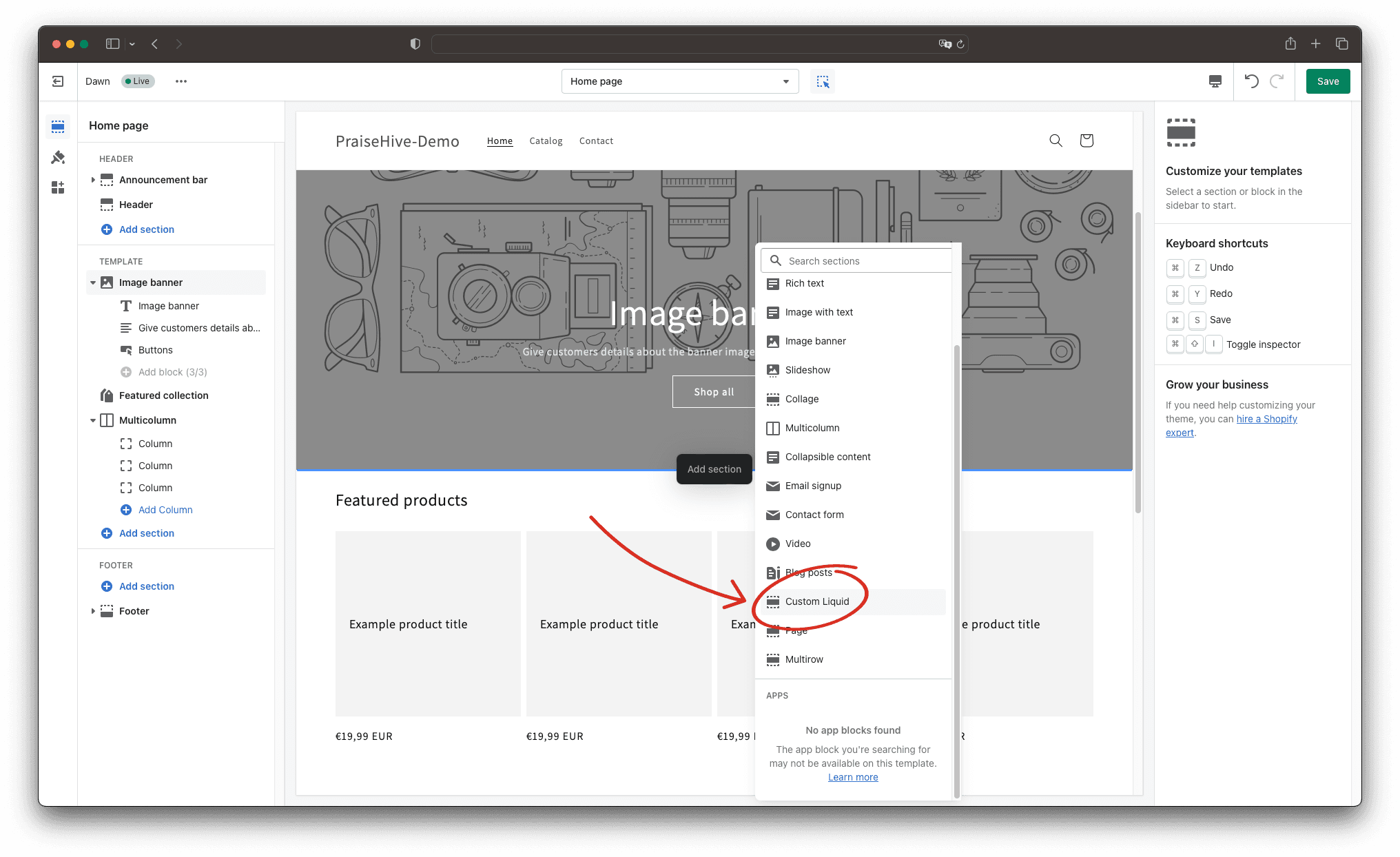 Step - 2: Insert Custom Liquid